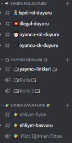 Evora Roleplay - Discord 25.08.2019 23_31_59 (2).png