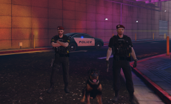 Police In Game.png
