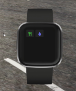 fitbit21.png