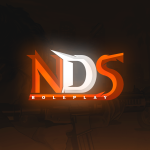 NDSRP - Logo Design Discord.png